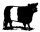 Logo for Belted Galloway