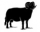 Logo for USA : Sheep - Black Welsh Mountain 