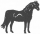 Logo for Equine - Dartmoor