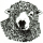 Logo for Greyface Dartmoor